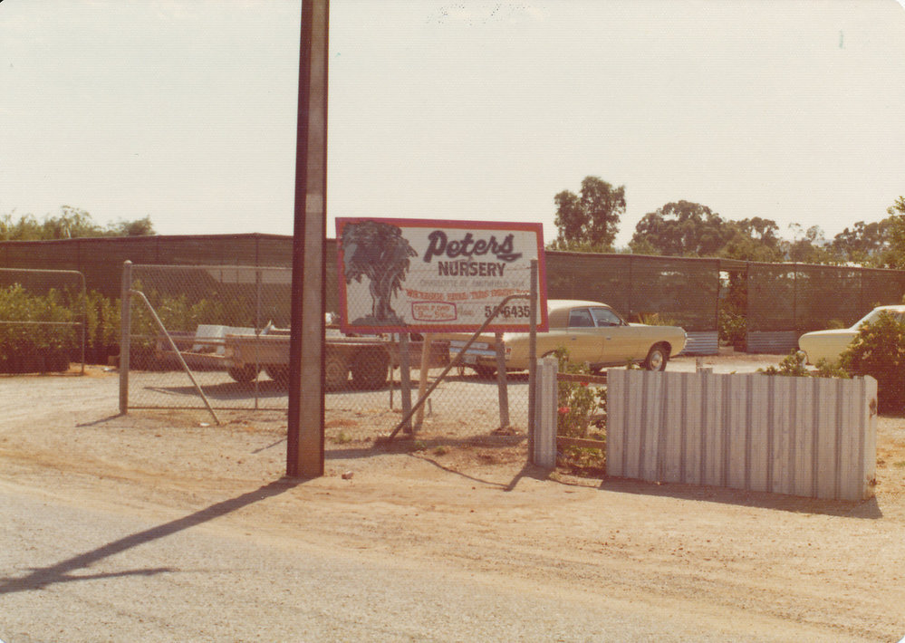 Peters Nursery.