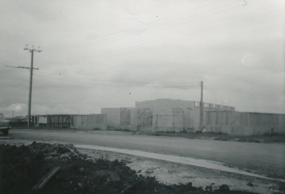 The Centre for Mentally Handicapped Children