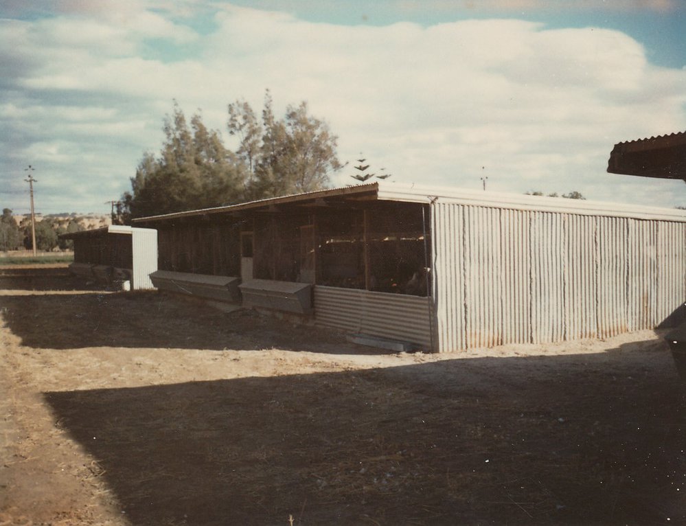 Hillier Road, Evanston Gardens 