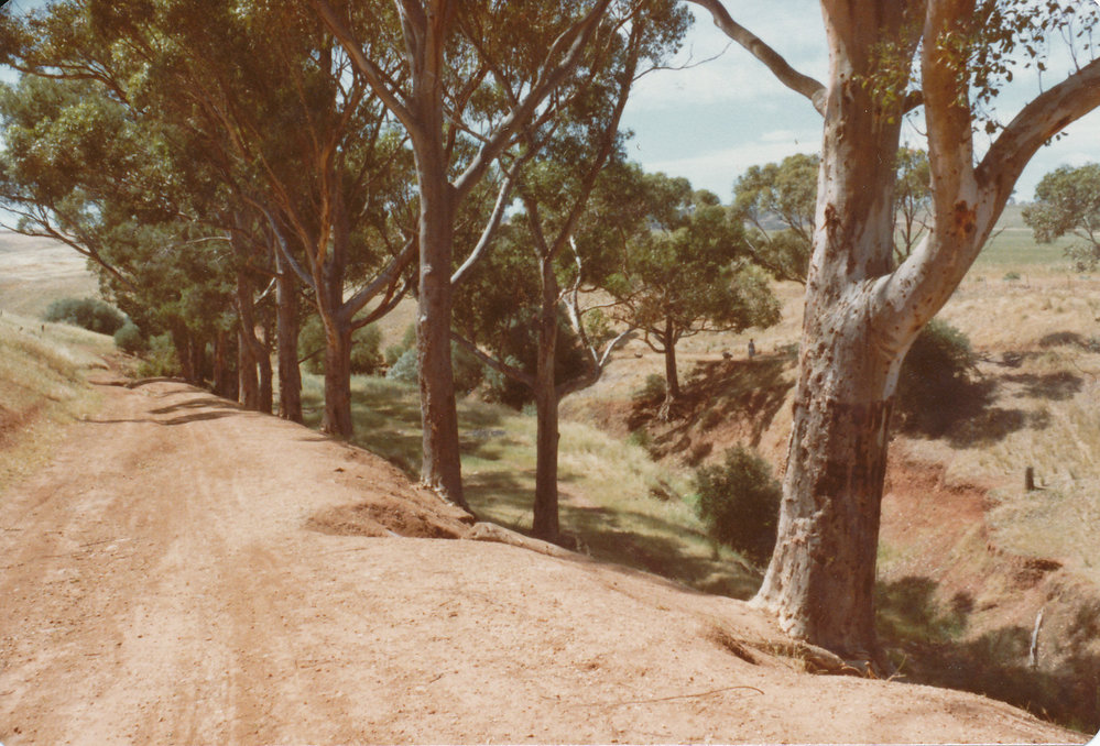 Adams Road, Smithfield