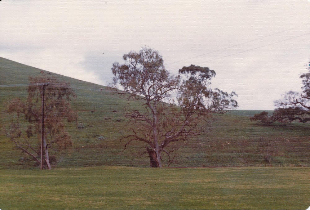 Gould's Creek Property