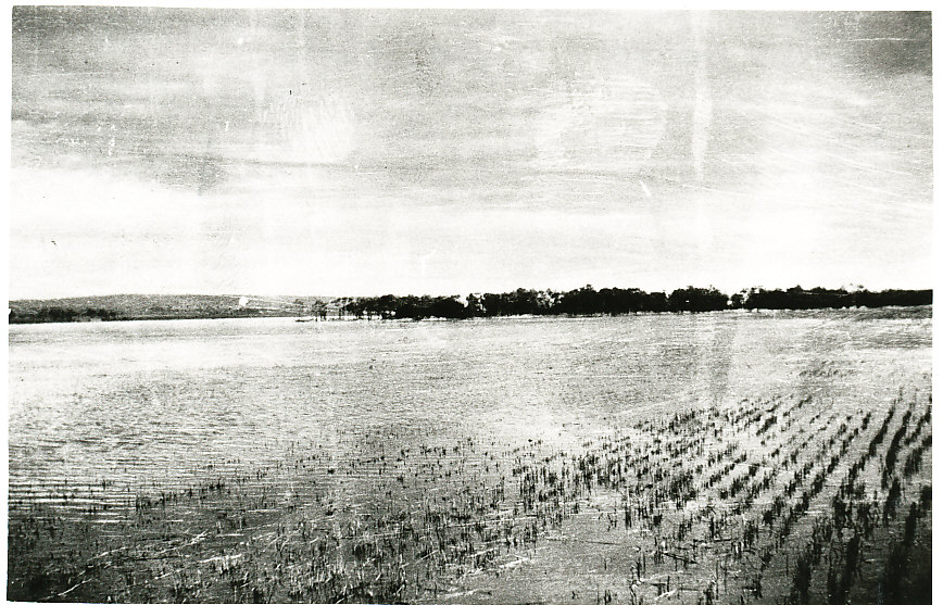 Smithfield Plains Floods