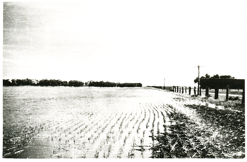 Smithfield Plains Floods: 1929