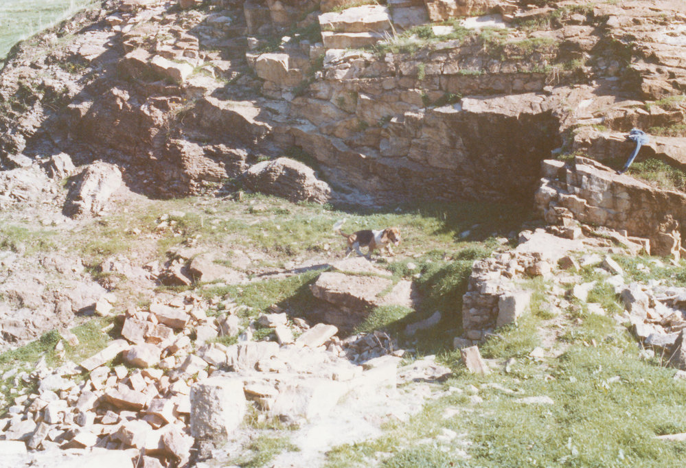 Smith's Creek Flour Mill
