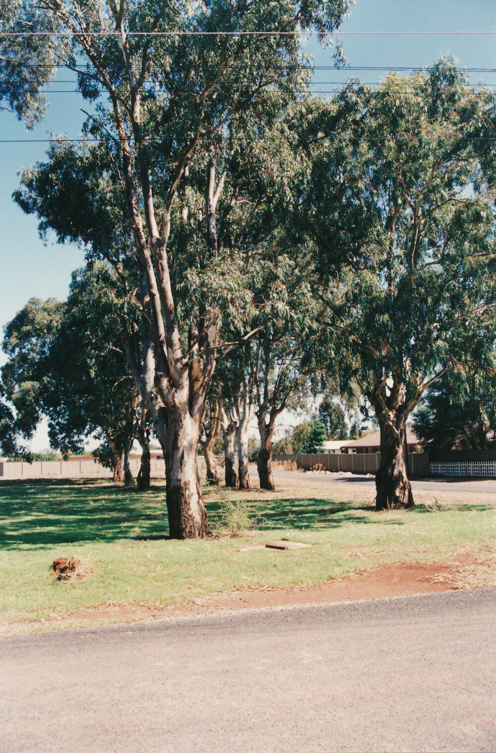 Augusta Square, Smithfield