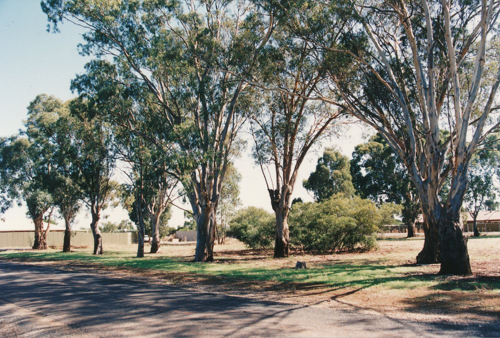 Augusta Square, Smithfield