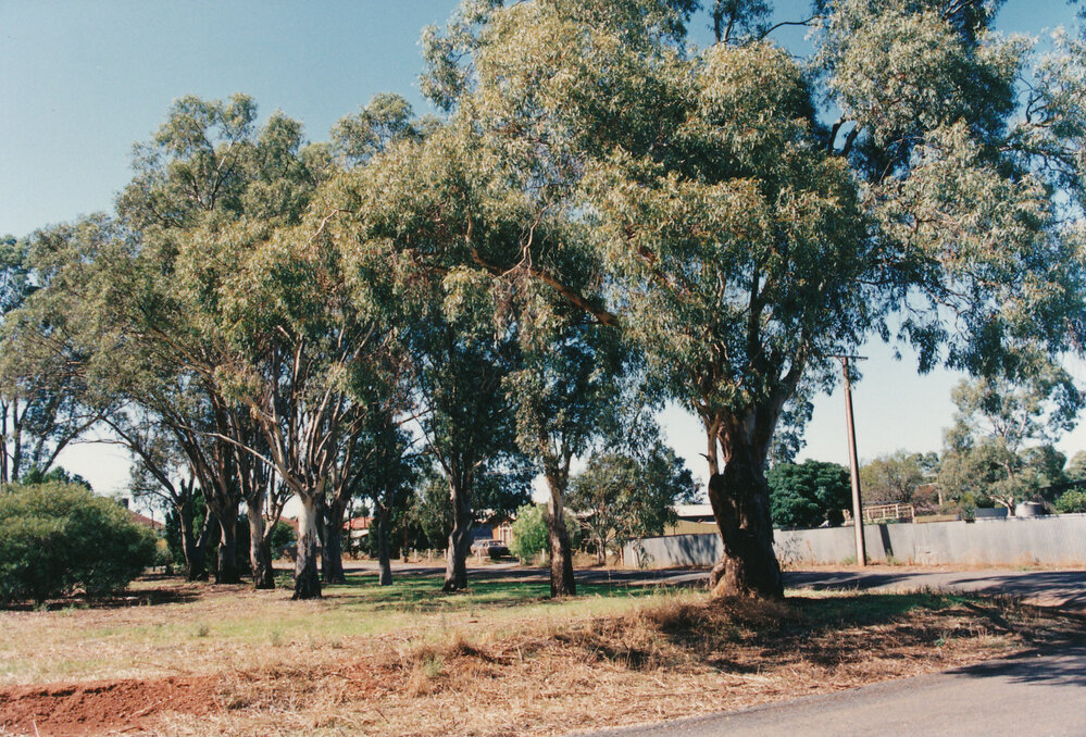 Augusta Square, Smithfield