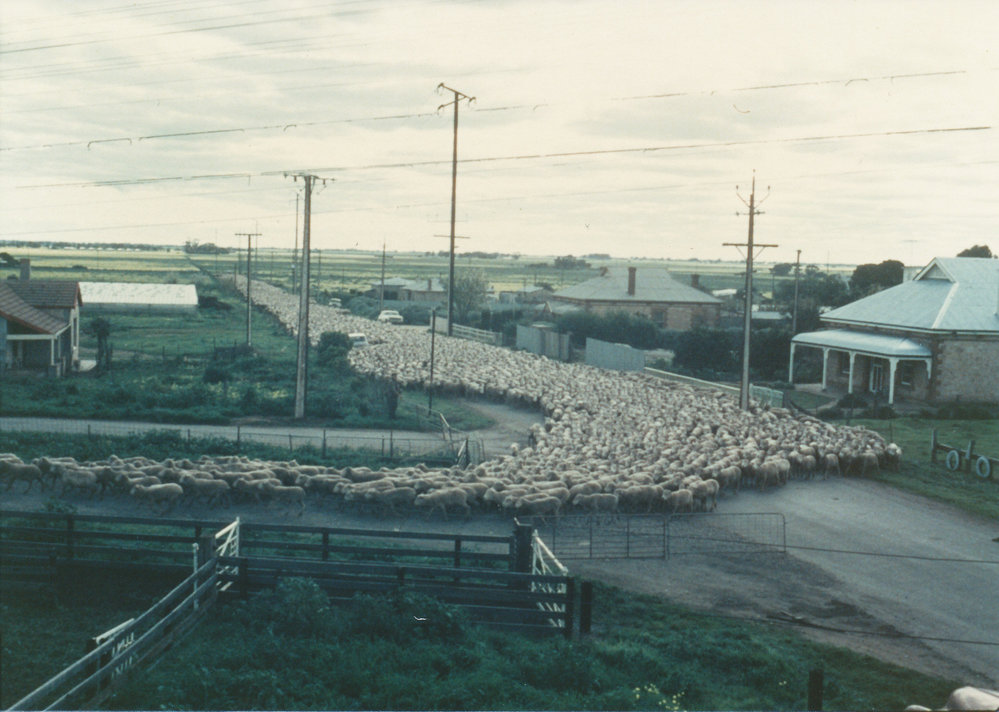Smithfield Railway Station