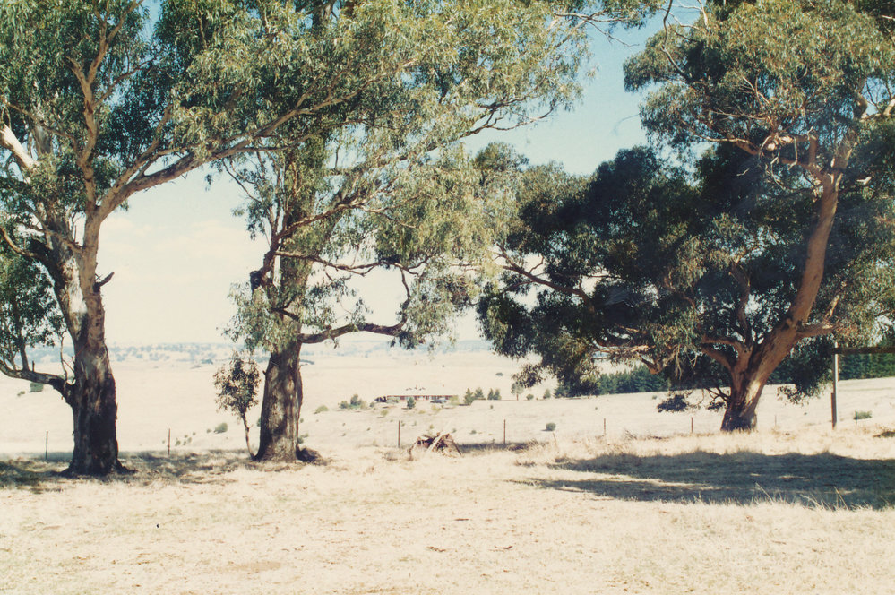 Former One Tree Hill Inn