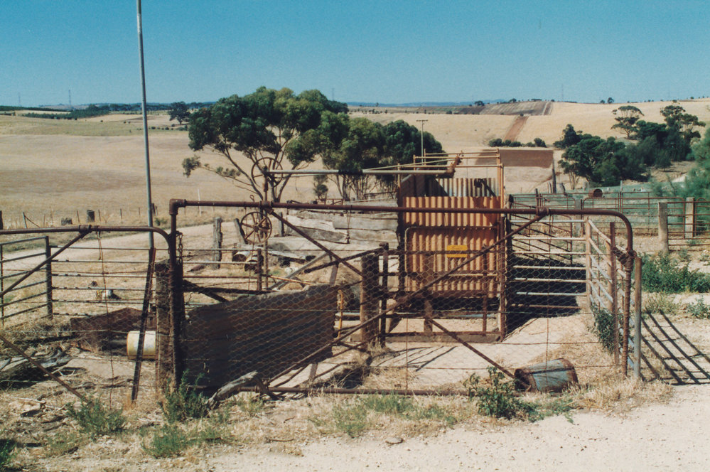 Yelki Farm, One Tree Hill