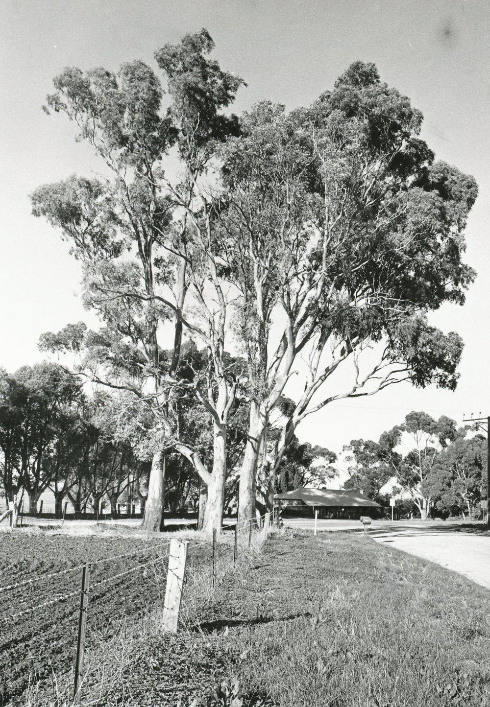 Former One Tree Hill Inn