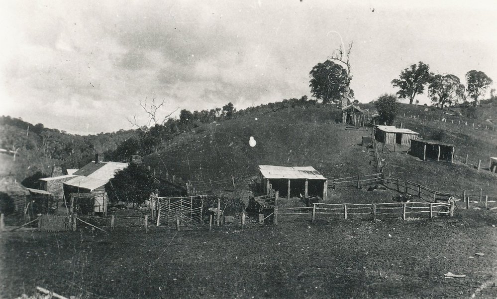 Attyford Farm, One Tree Hill