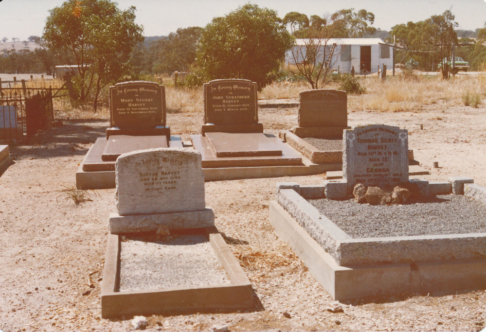 One Tree Hill Cemetery
