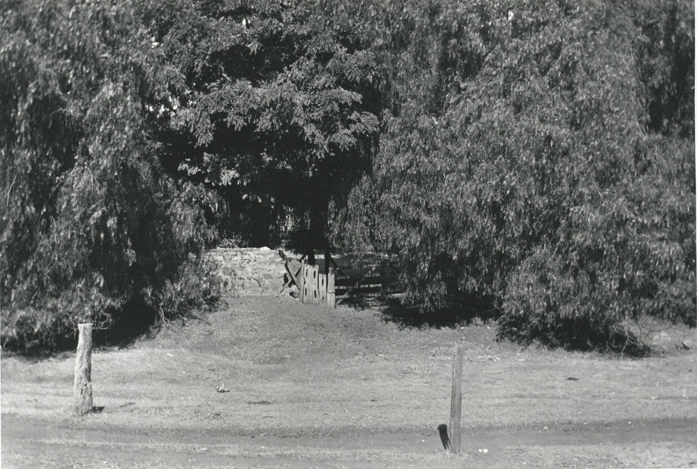 Cumberland Farm, One Tree Hill