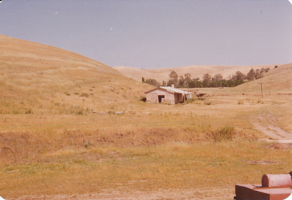 Cumberland Farm, One Tree Hill