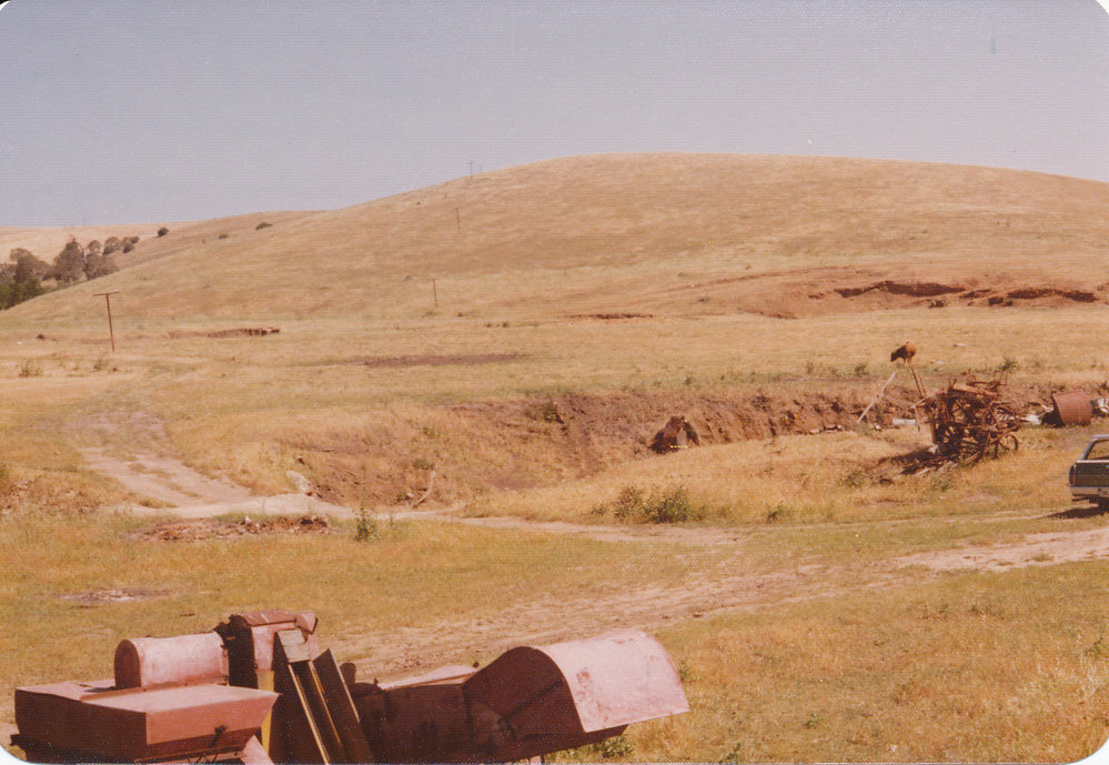 Cumberland Farm, One Tree Hill