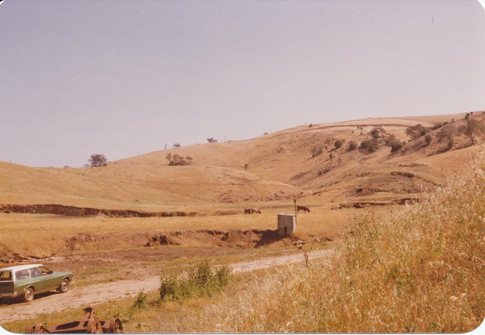 Cumberland Farm, One Tree Hill