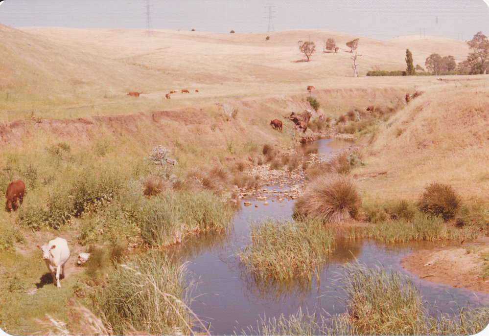 Cumberland Farm, One Tree Hill