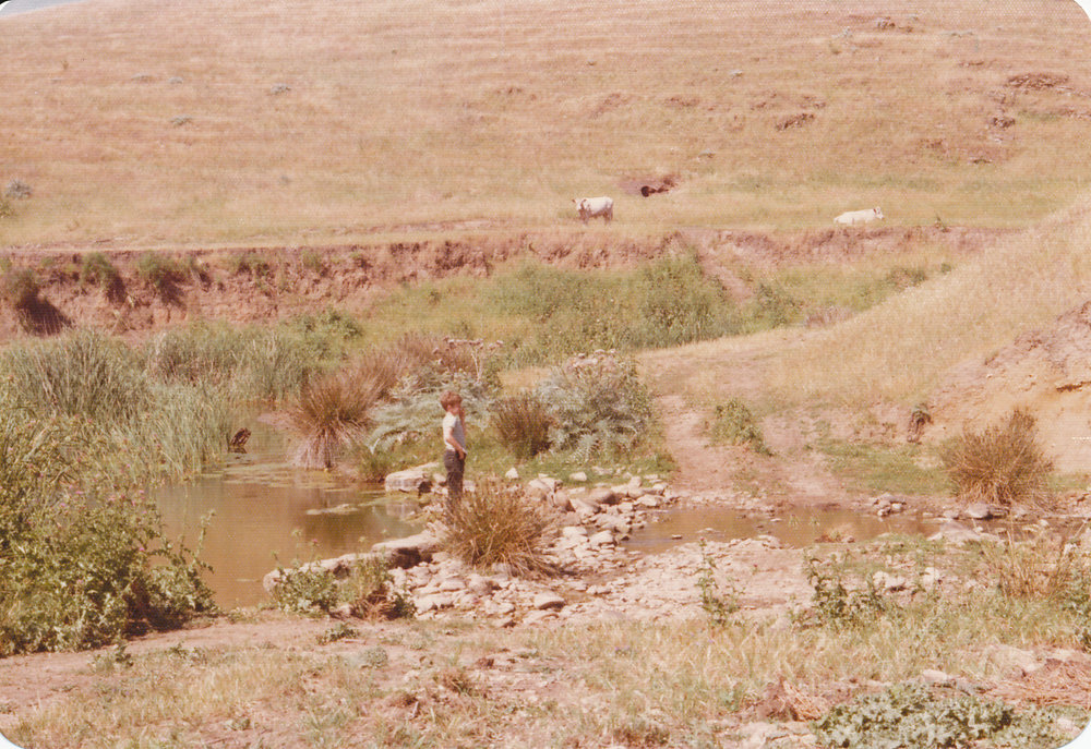 Cumberland Farm, One Tree Hill