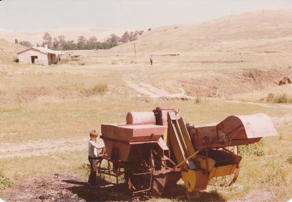 Cumberland Farm, One Tree Hill