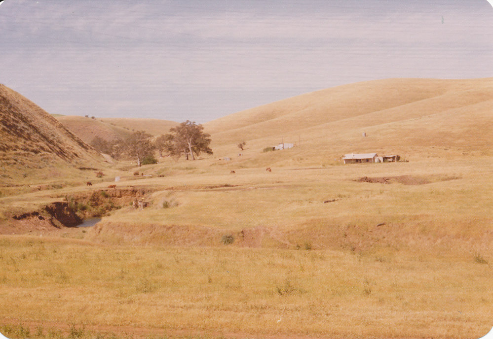 Cumberland Farm, One Tree Hill