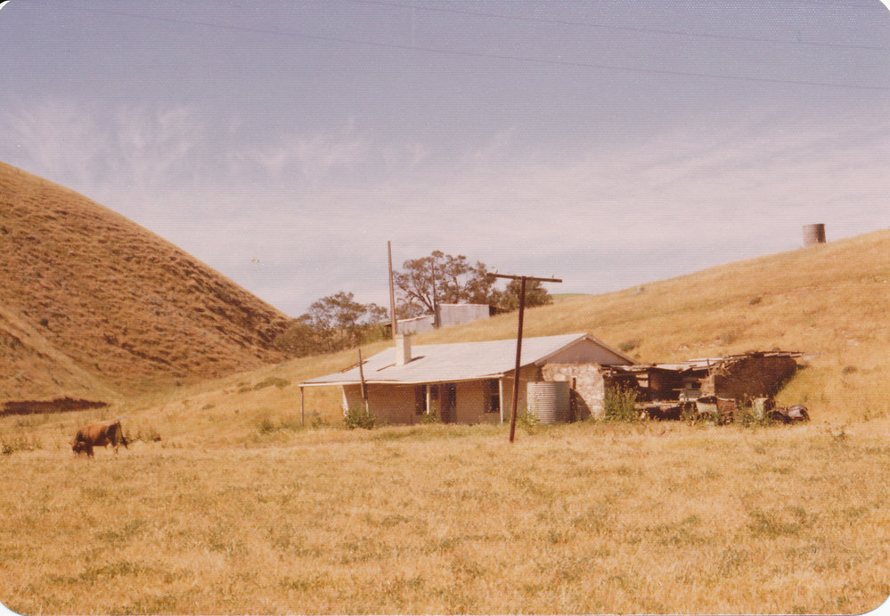 Cumberland Farm, One Tree Hill