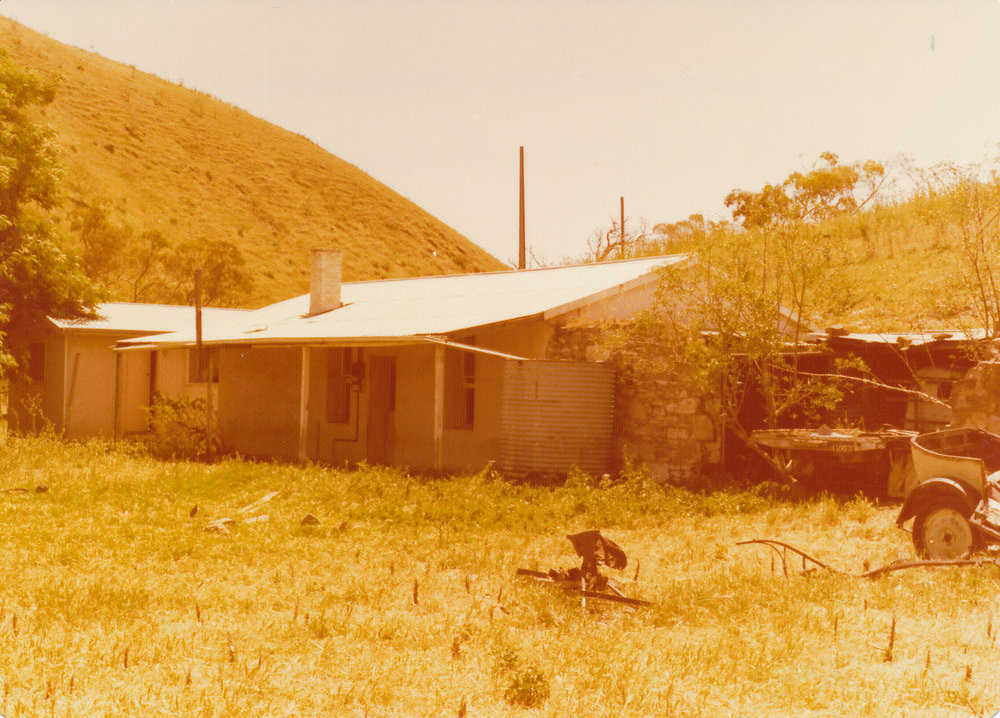 Cumberland Farm, One Tree Hill