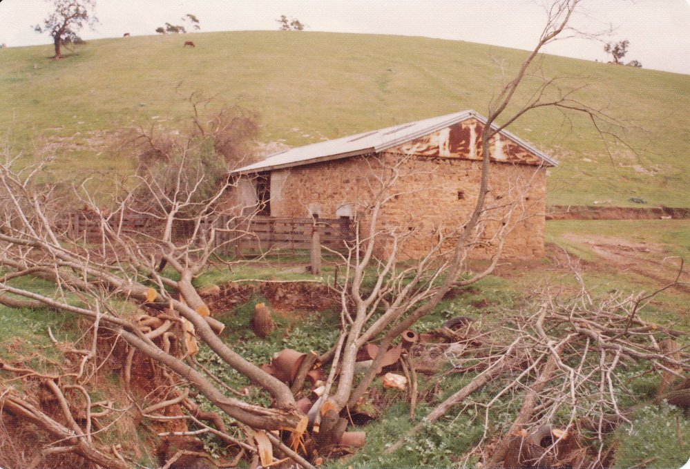 Cumberland Farm, One Tree Hill