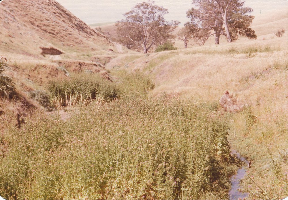 Cumberland Farm, One Tree Hill