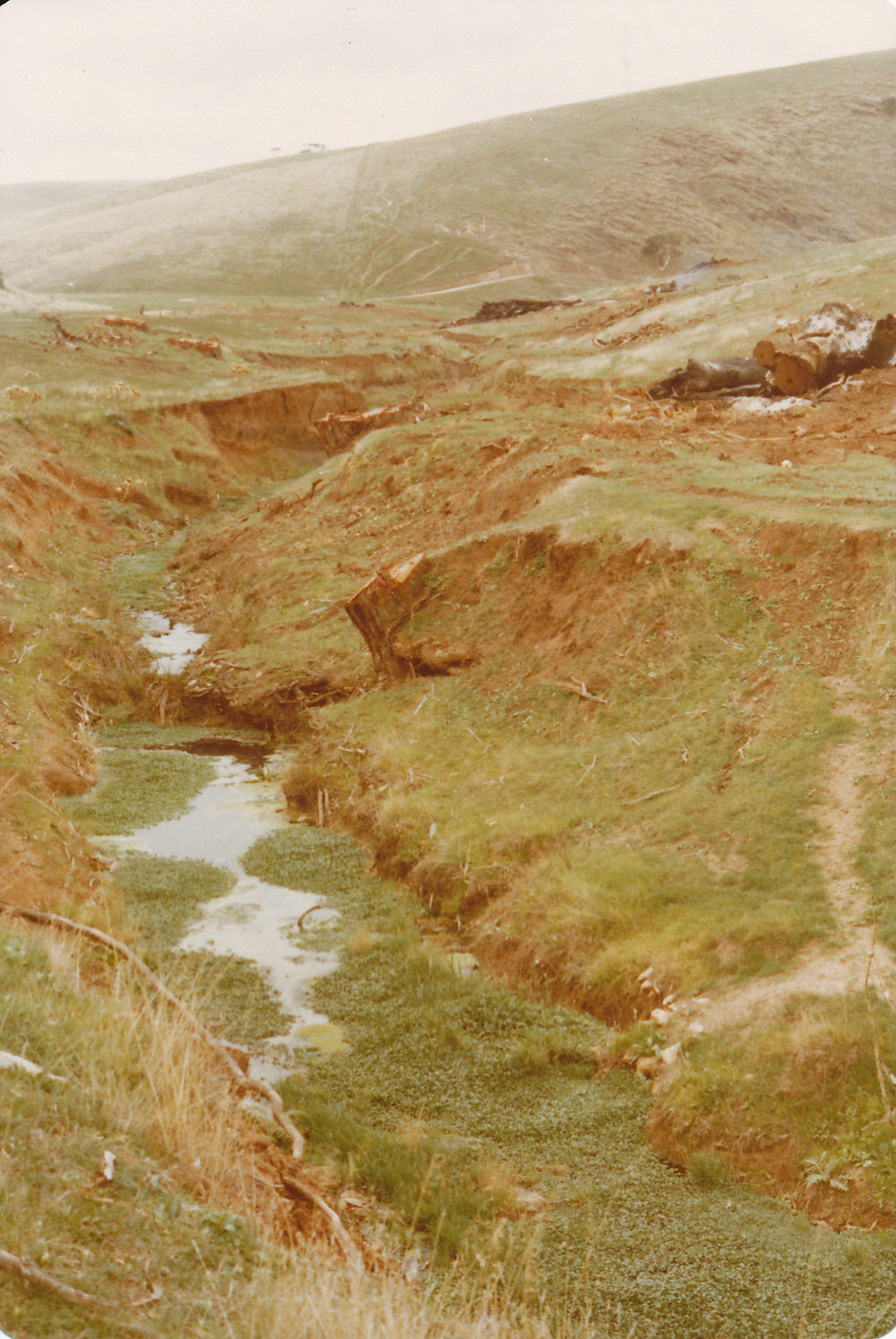 Cumberland Farm, Little Para