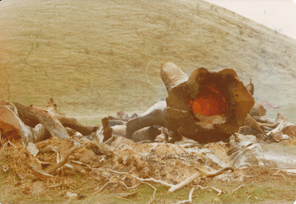 Cumberland Farm, One Tree Hill