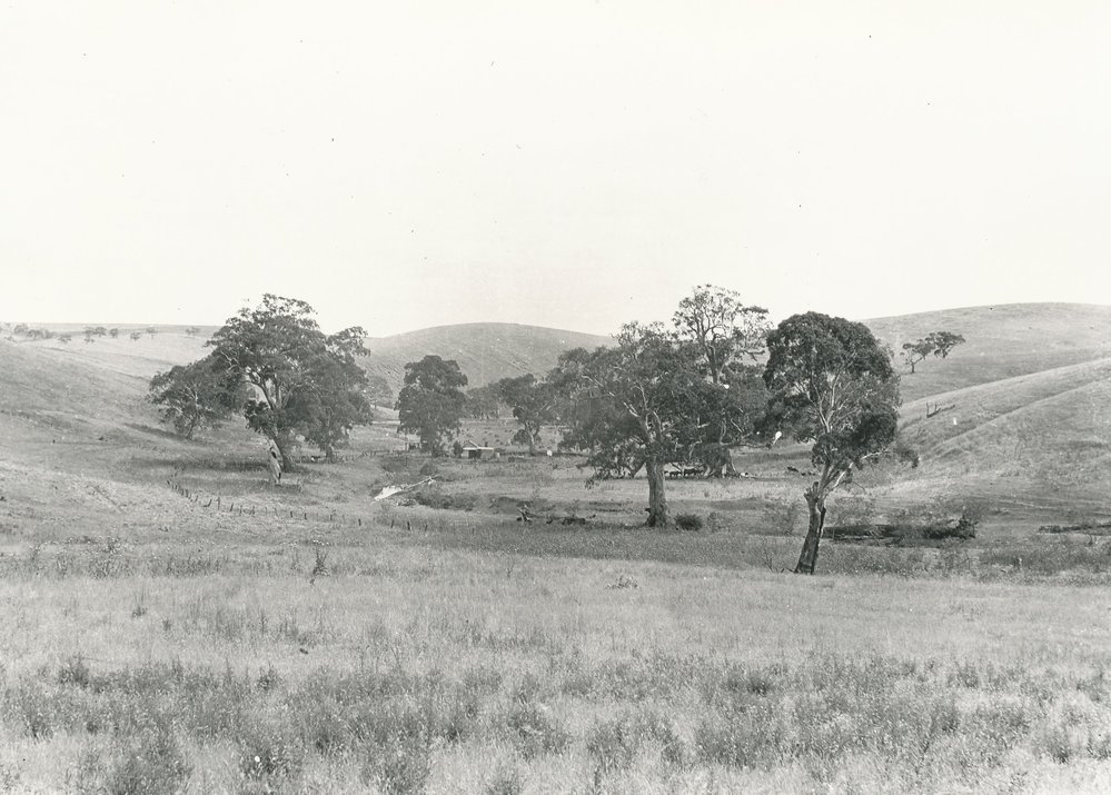 Cumberland Farm, One Tree Hill