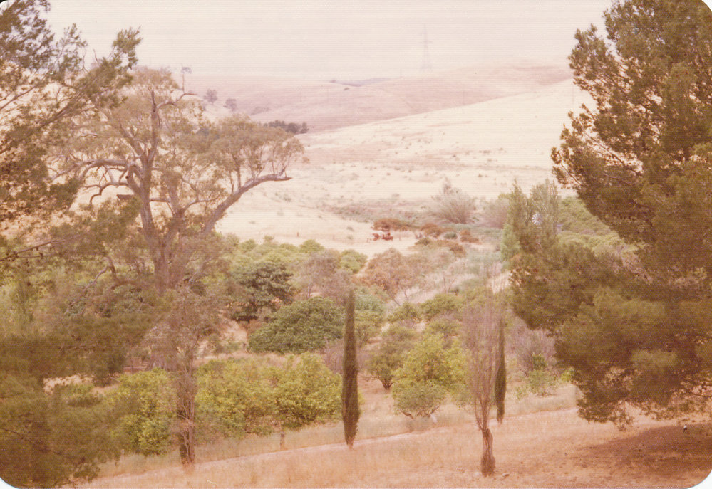 Little Para Orangery