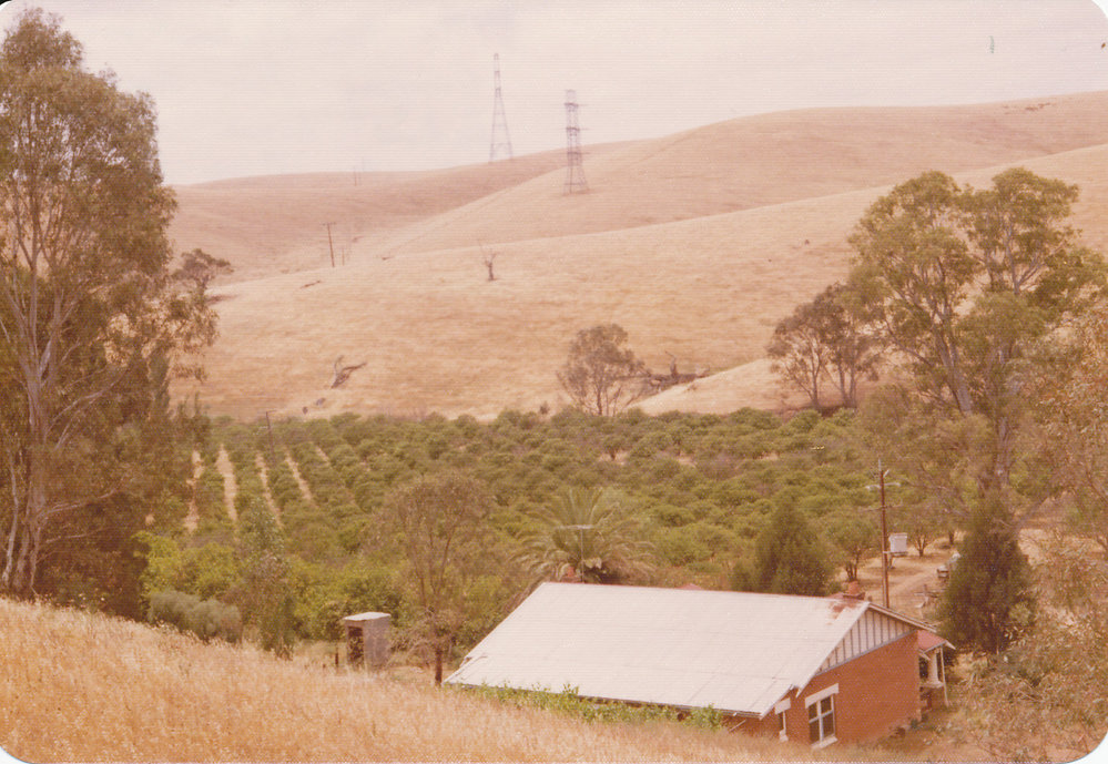 Little Para Orangery
