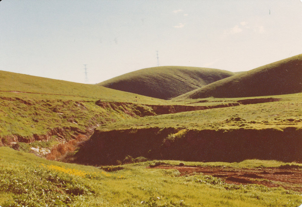 Little Para Orangery