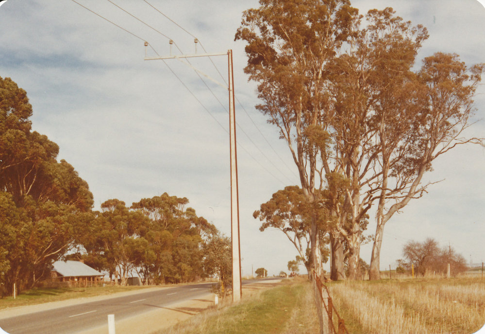 Blacktop Hill Road, One Tree Hill: 1976