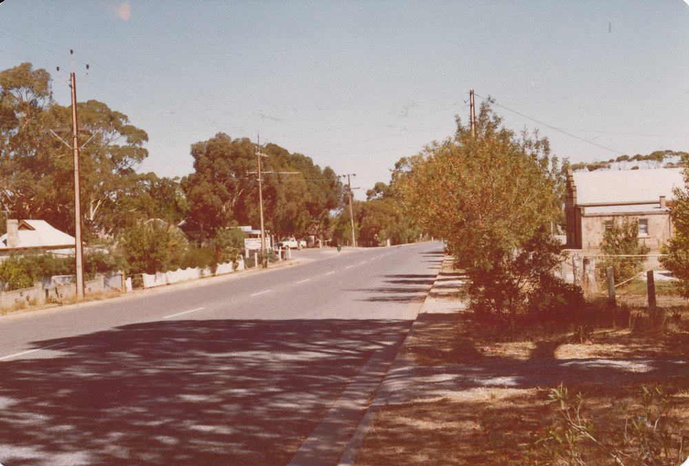 One Tree Hill Main Road