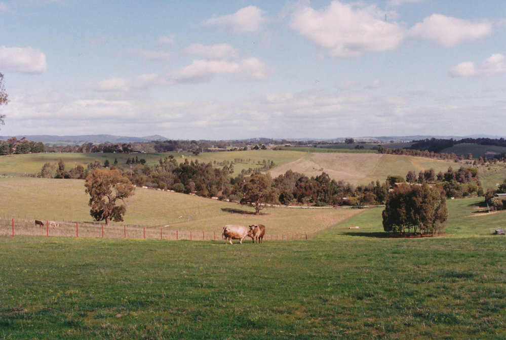 Uley Road, One Tree Hill