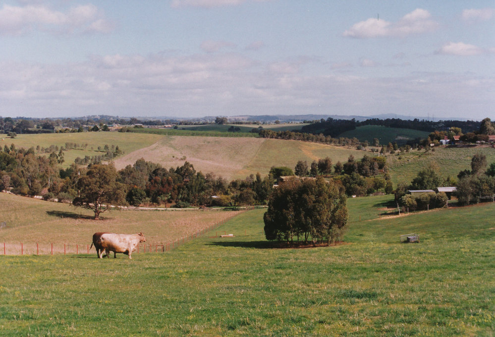 Uley Road, One Tree Hill