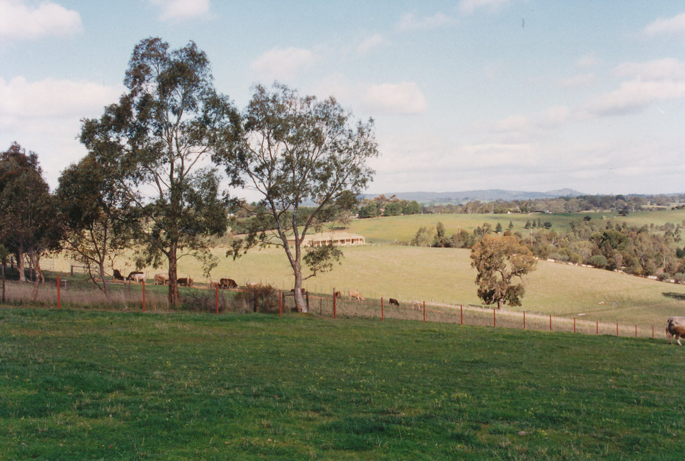 View from Uley Chapel Cemetery