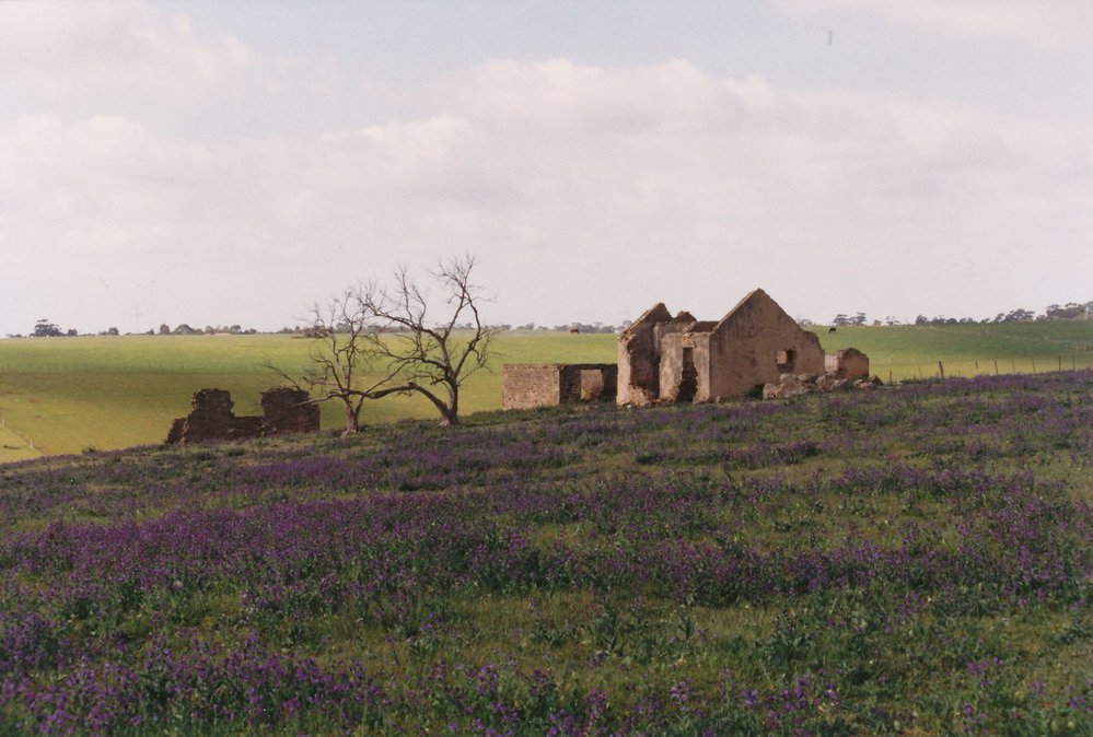 Ruins of High Farm, One Tree Hill