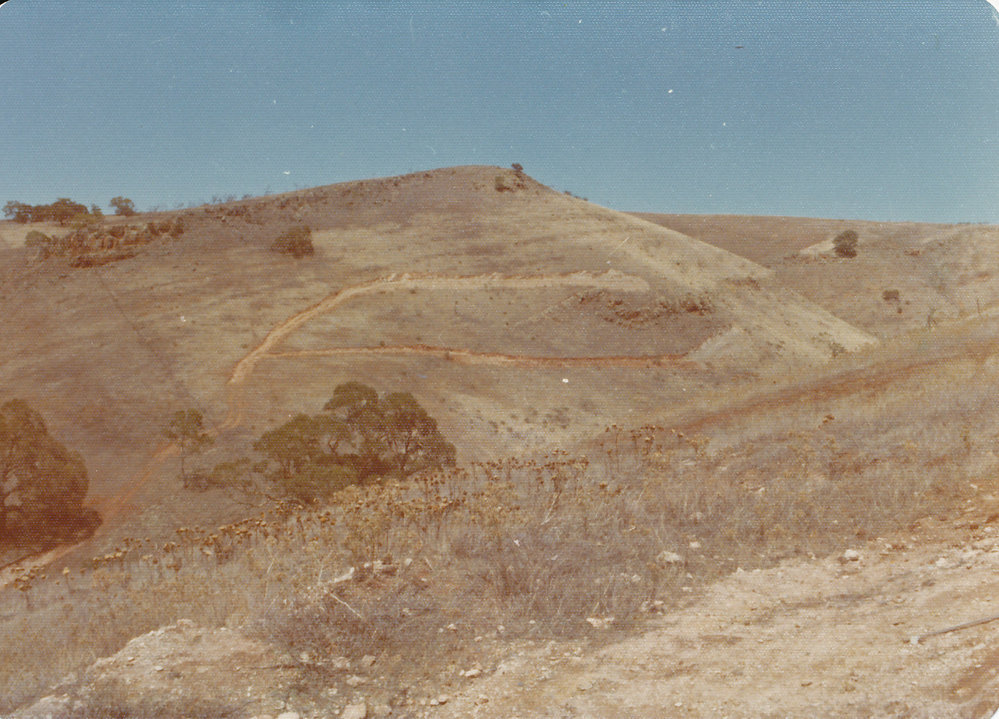 Little Para Reservoir 1974