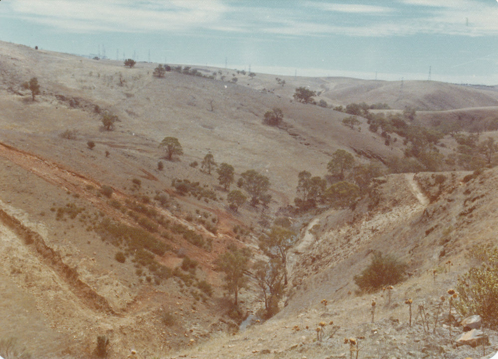 Little Para Reservoir 1974