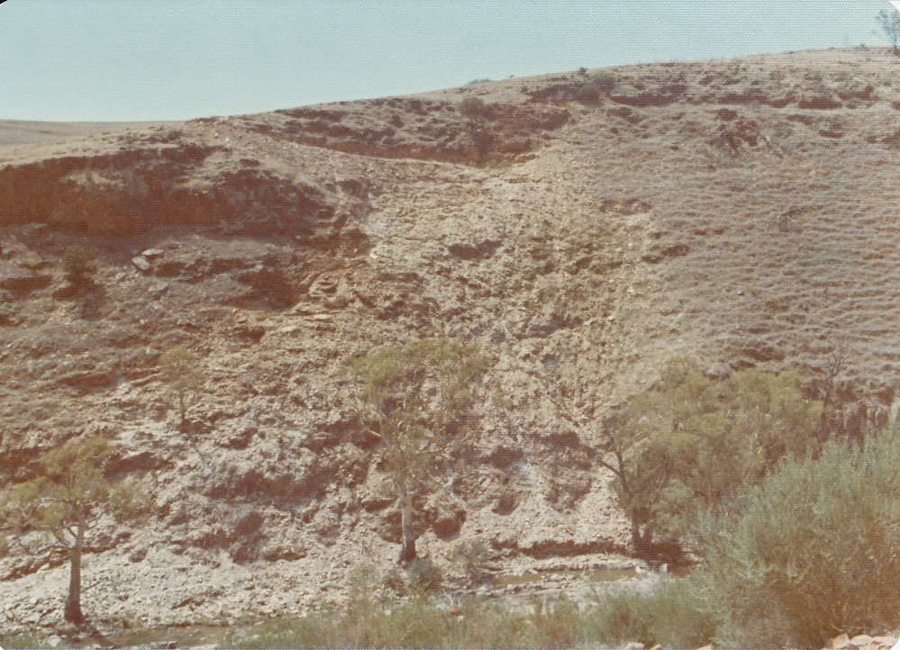 Little Para Reservoir 1974