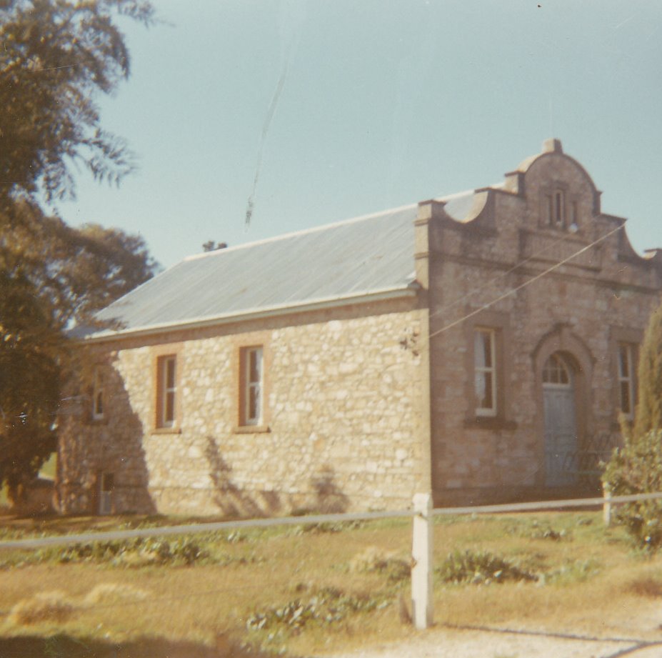 One Tree Hill Institute