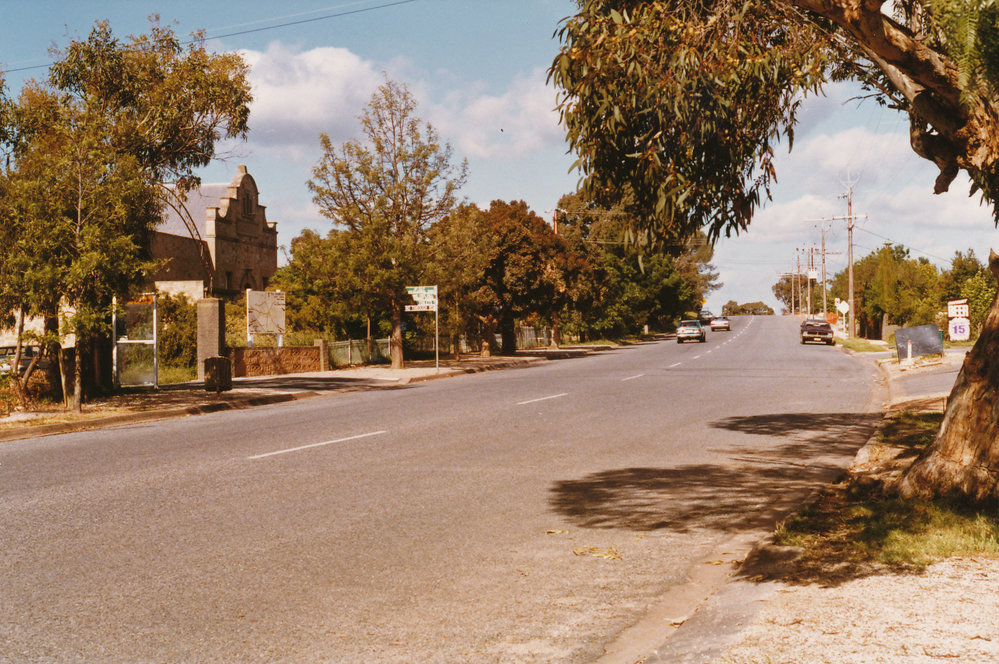 Black Top Road, One Tree Hill 