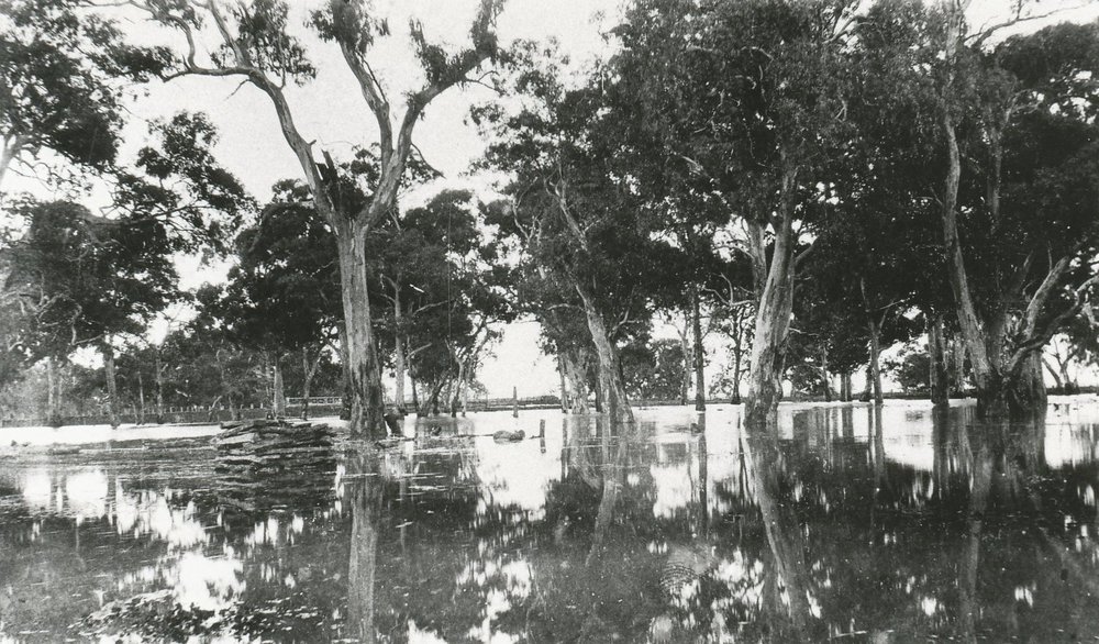 John's Farm, Penfield