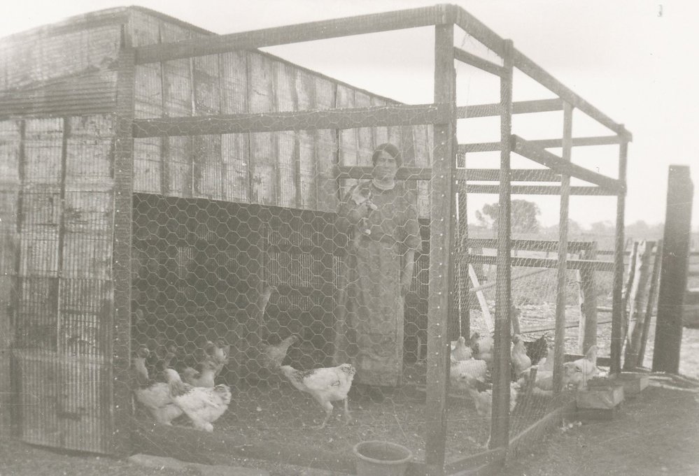 Jane Ragless of Angle Vale