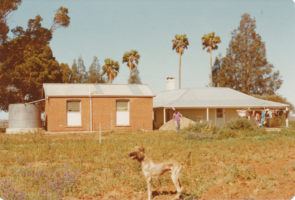 Rear of House on Womma Road, Penfield