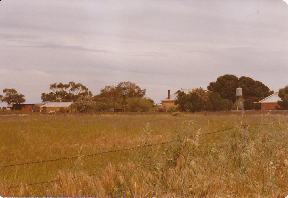 Fatchen Farm, Penfield